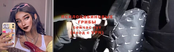 гидропоника Заводоуковск