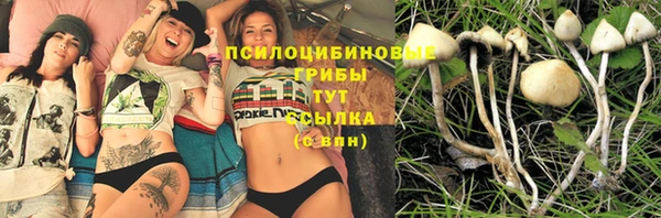 гидропоника Заводоуковск