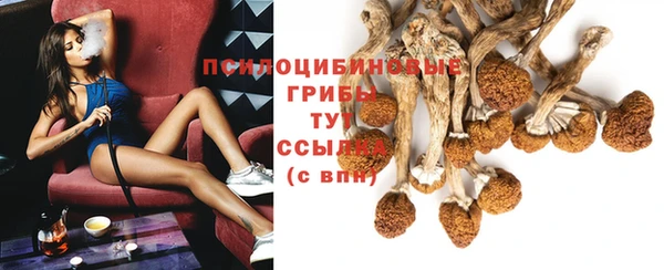 а пвп мука Заволжье
